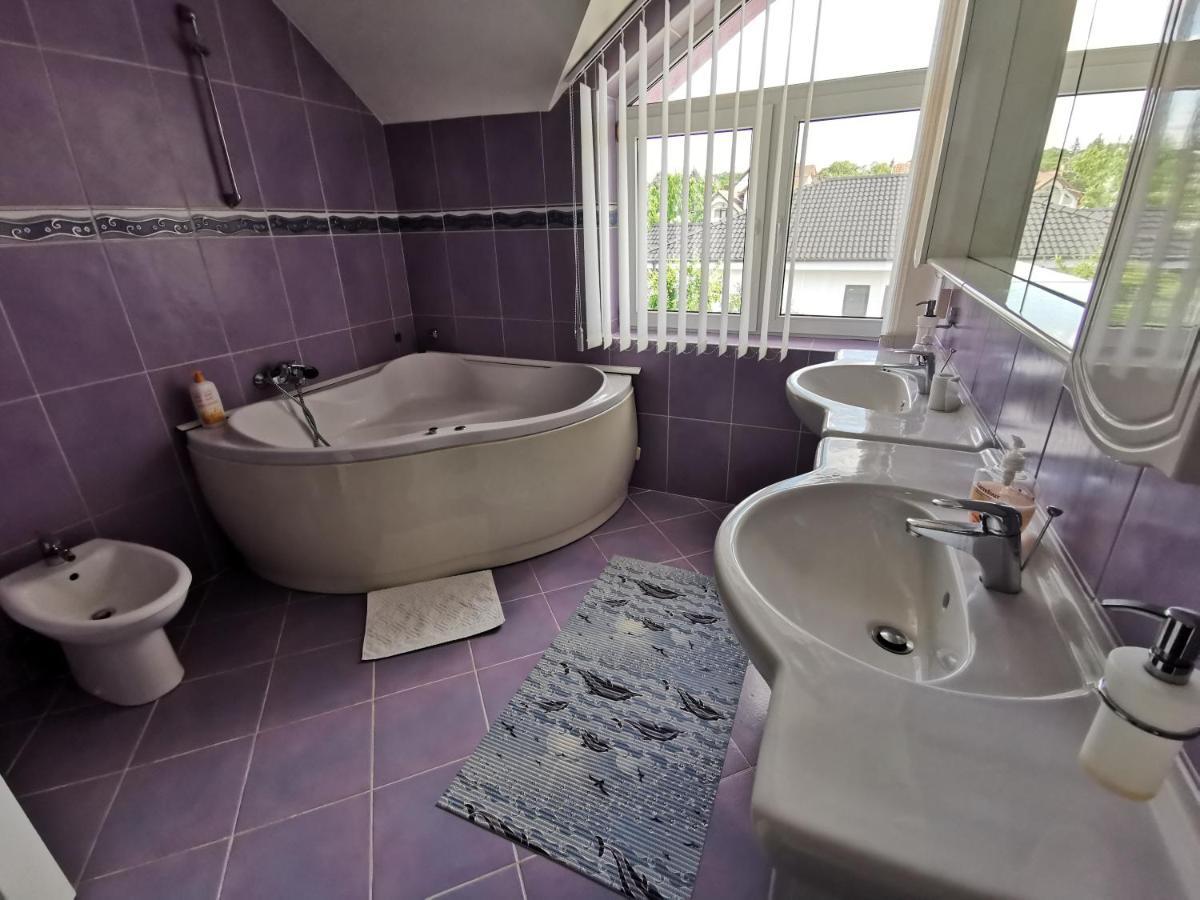 Vila Angela Felix Otel Sînmartin Dış mekan fotoğraf