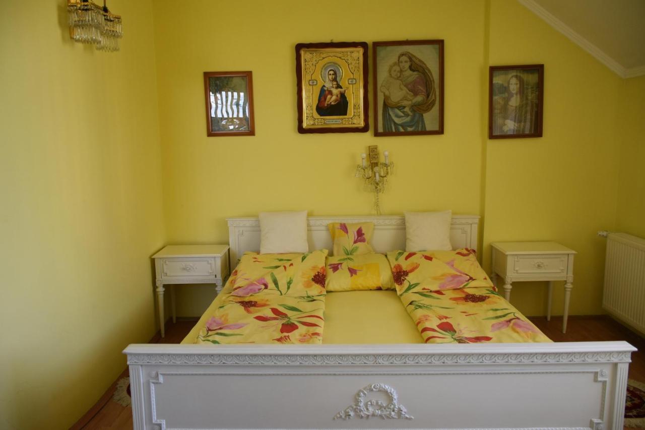 Vila Angela Felix Otel Sînmartin Dış mekan fotoğraf