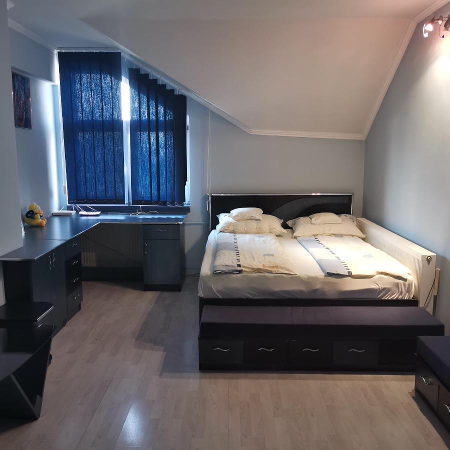 Vila Angela Felix Otel Sînmartin Dış mekan fotoğraf