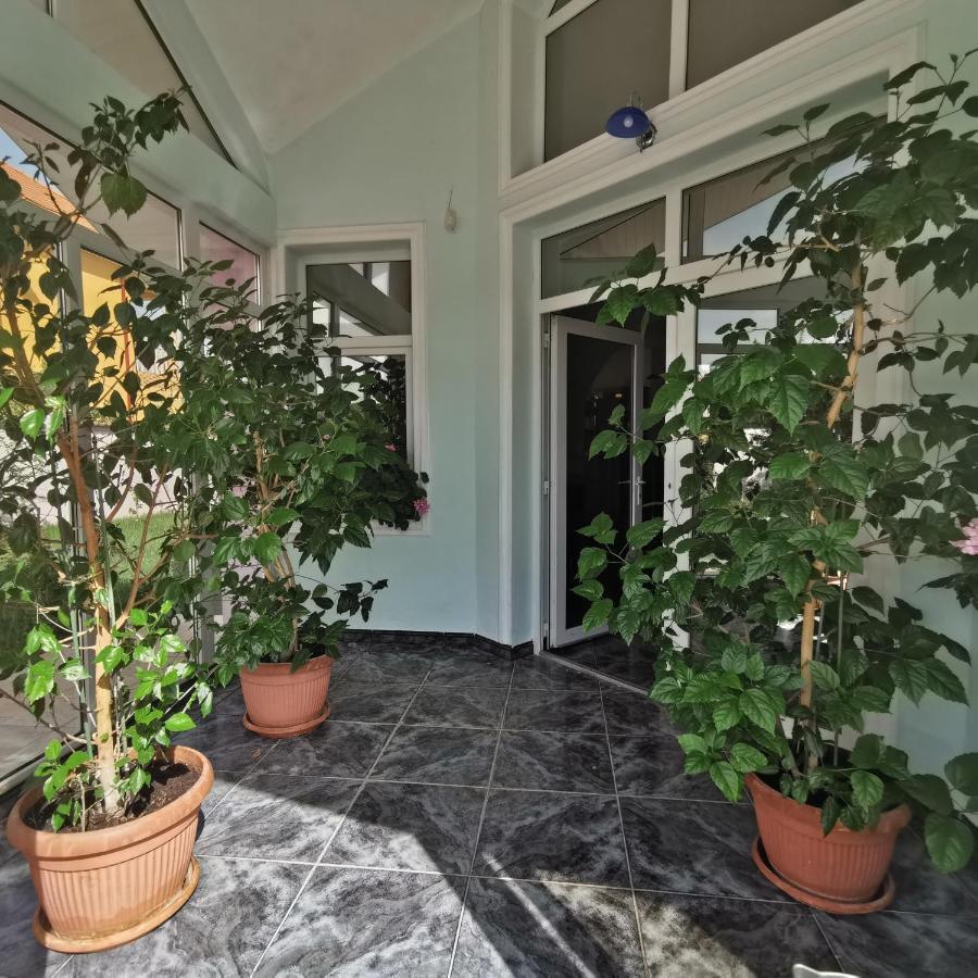 Vila Angela Felix Otel Sînmartin Dış mekan fotoğraf