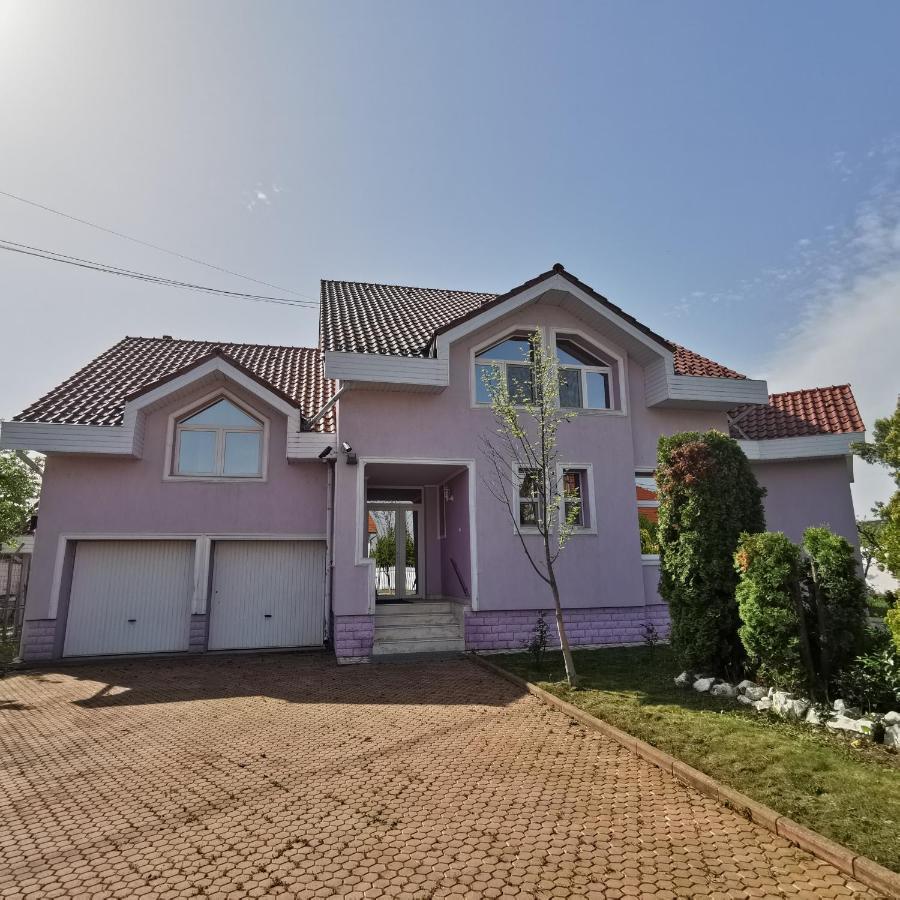 Vila Angela Felix Otel Sînmartin Dış mekan fotoğraf