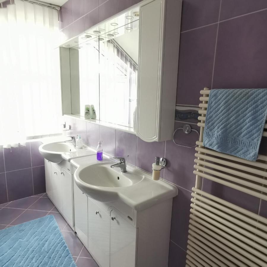 Vila Angela Felix Otel Sînmartin Dış mekan fotoğraf